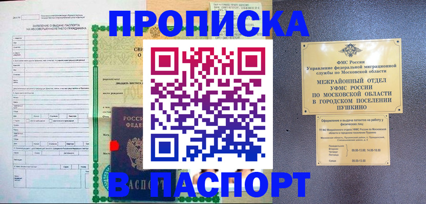 временная регистрация госуслуги в Сосенском